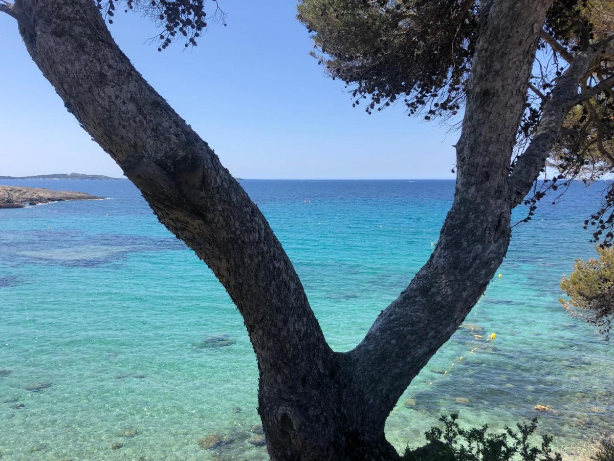 Les Baux 1 Apartment Sanary-sur-Mer Luaran gambar